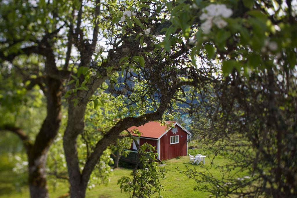 Dragsvik Fjordhotel (Adults Only) Balestrand Exterior photo